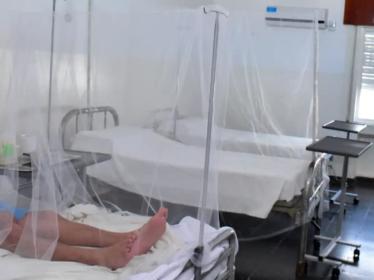 Doble vigilancia en San Francisco: Covit -19 y dengue 