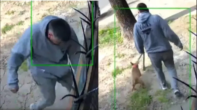 Imágenes del video del agresor