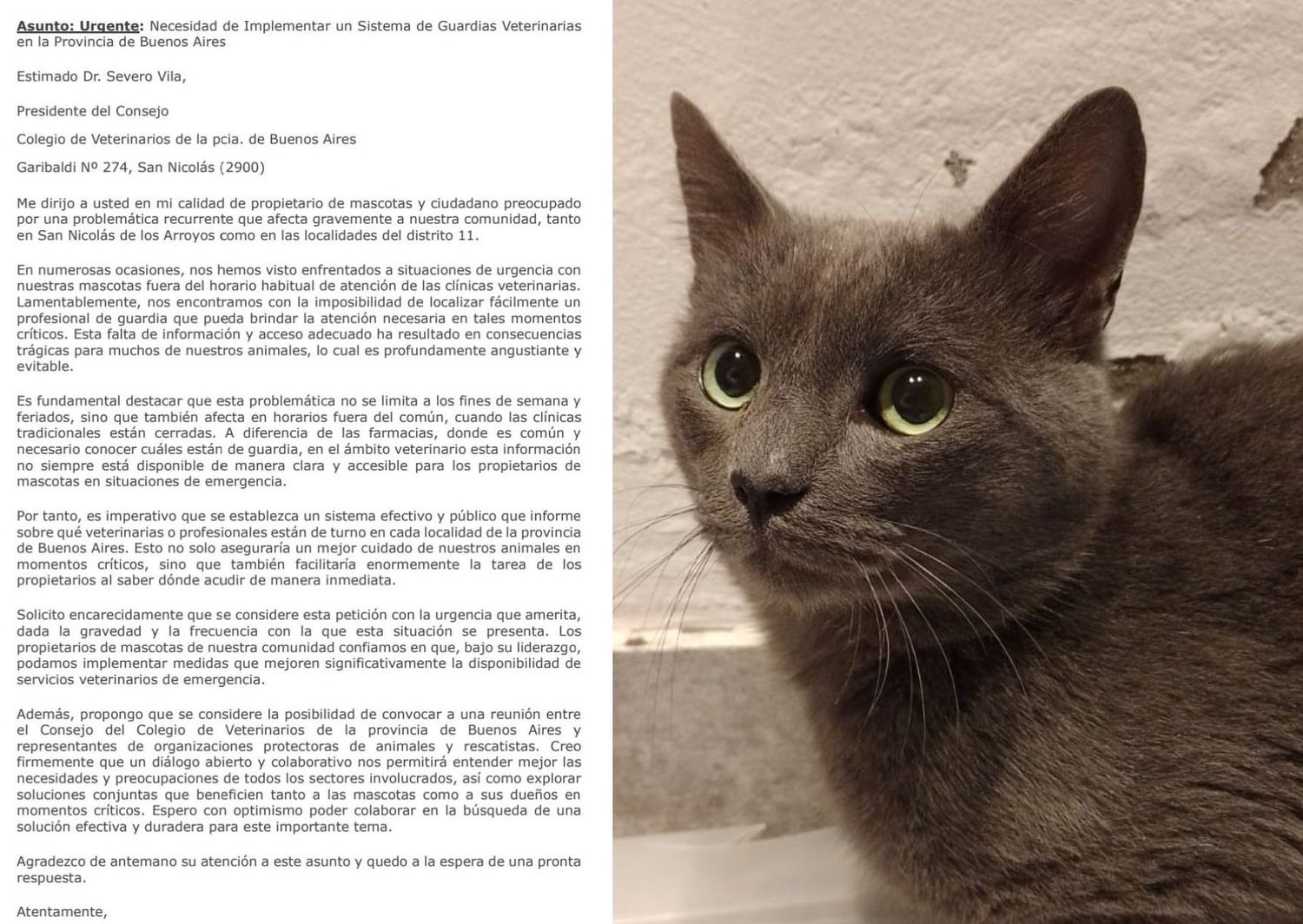 Vecinos reclaman guardias veterinarias “reales”