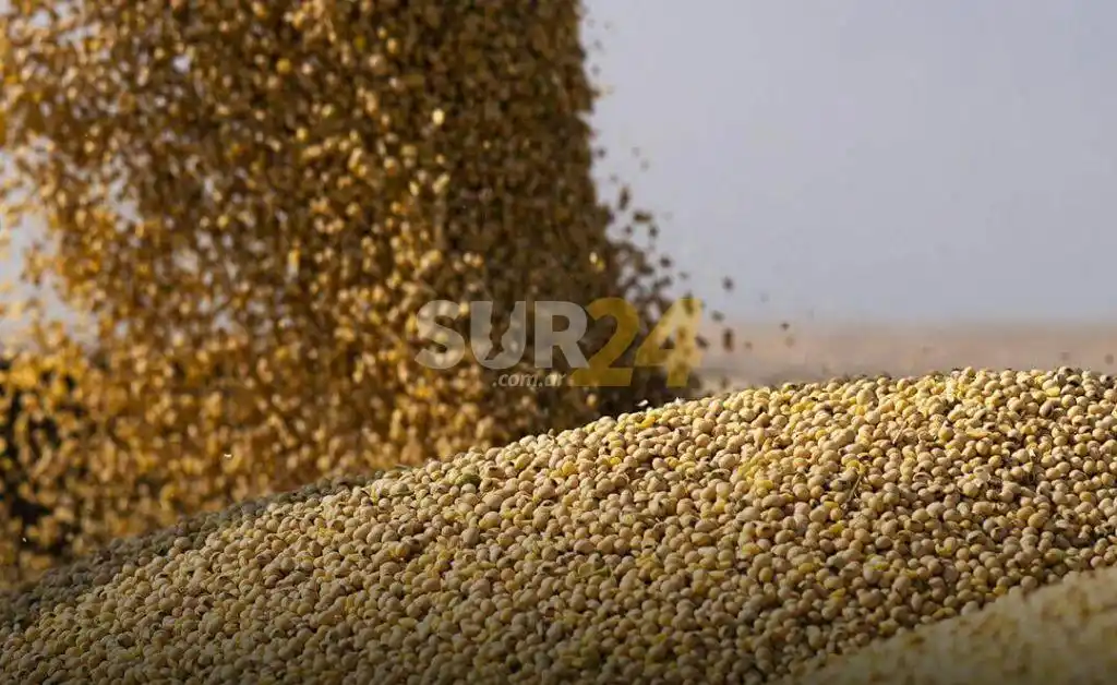 Reabren las exportaciones de harina y aceite de soja