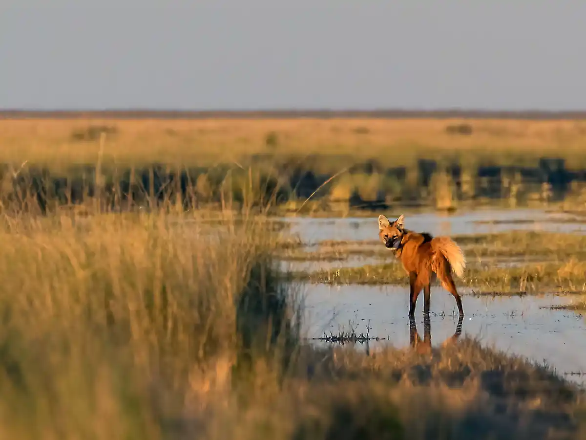 El cuadragésimo Parque Nacional
