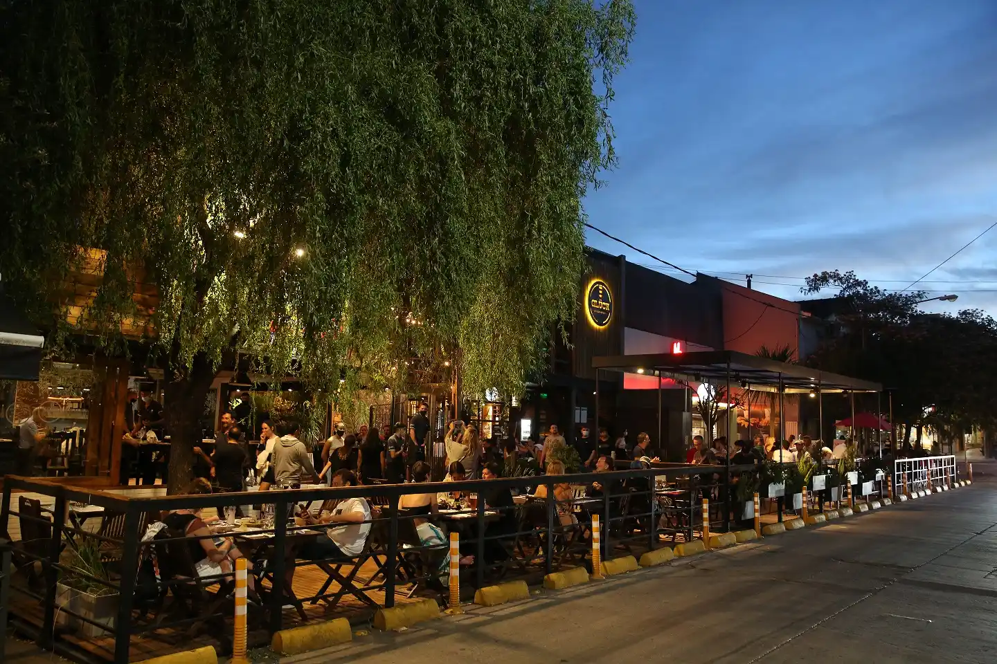 Mar del Plata es mucho más que paisajes increíbles, la rambla y los lobos marinos