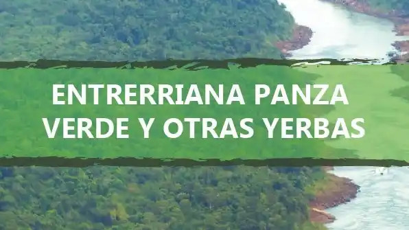 Hoy presentación del libro de Silvana Caraballo en la Biblioteca