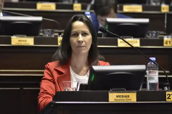 "Quieren entregar el partido": la diputada Mesías renunció a la Tesorería de la UCR bonaerense y apuntó contra la cúpula