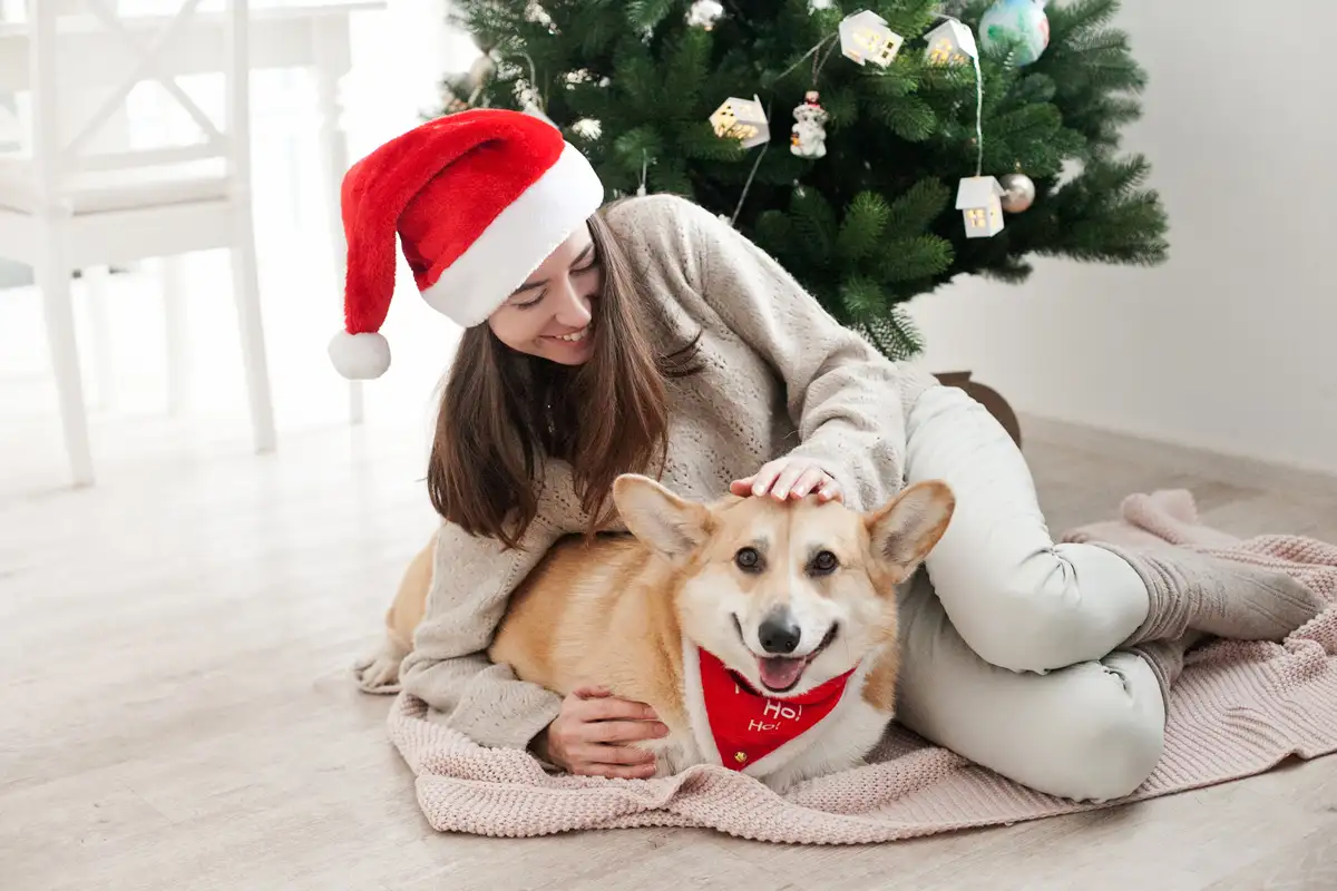 mascotas navidad - 2