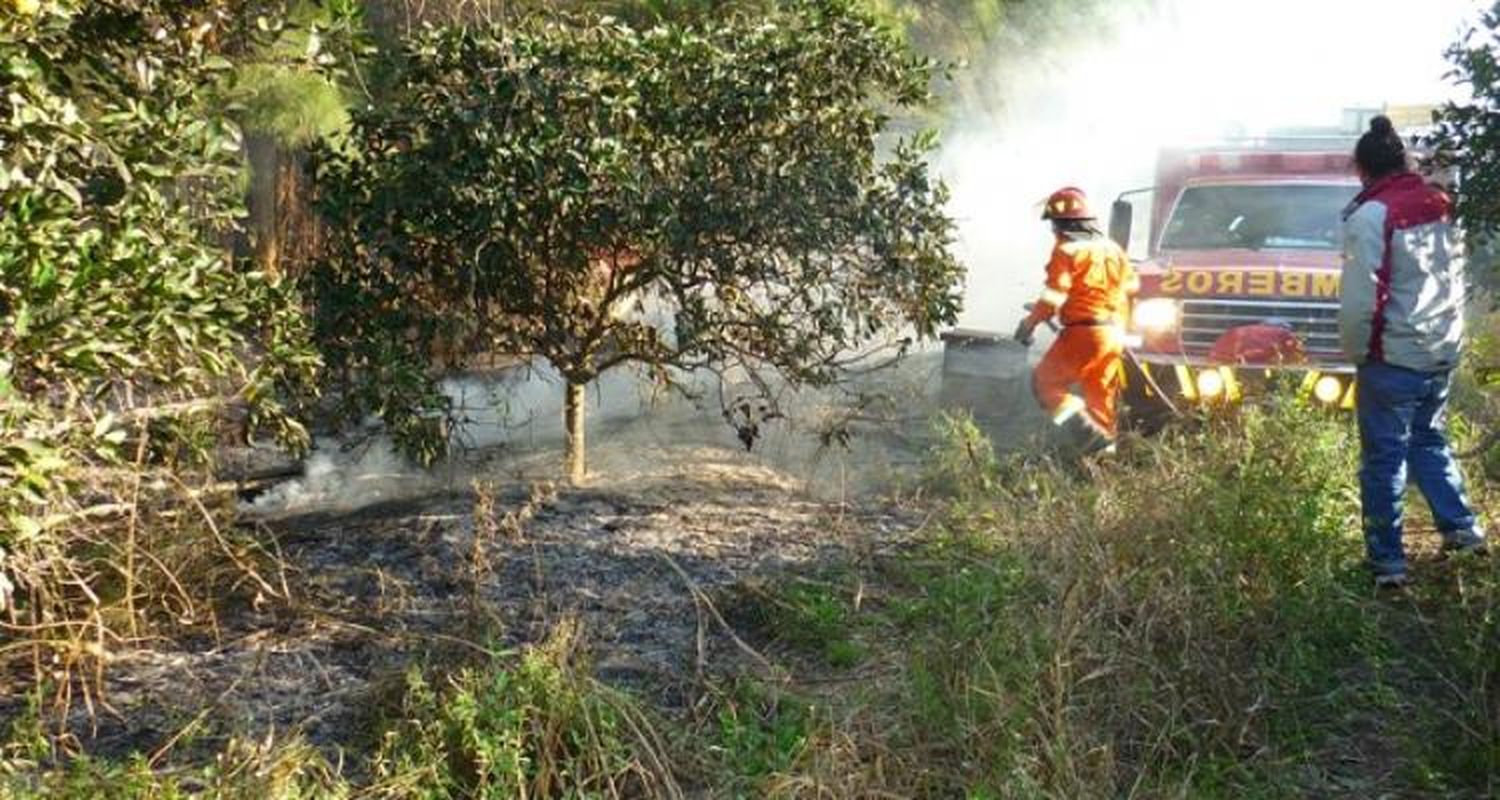 Al menos 50 colmenas se incendiaron en un campo