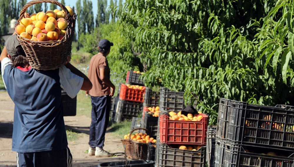 El plan Agricultura Familiar tiene abierta la inscripción hasta el 13 de junio