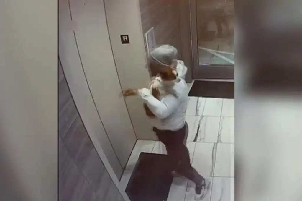 Video: un “héroe” salvó a un perrito de morir ahorcado en un ascensor