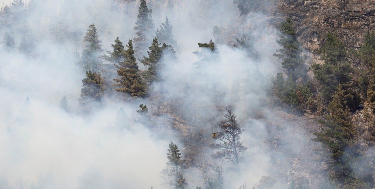 Continúa la lucha contra el fuego en Chubut.