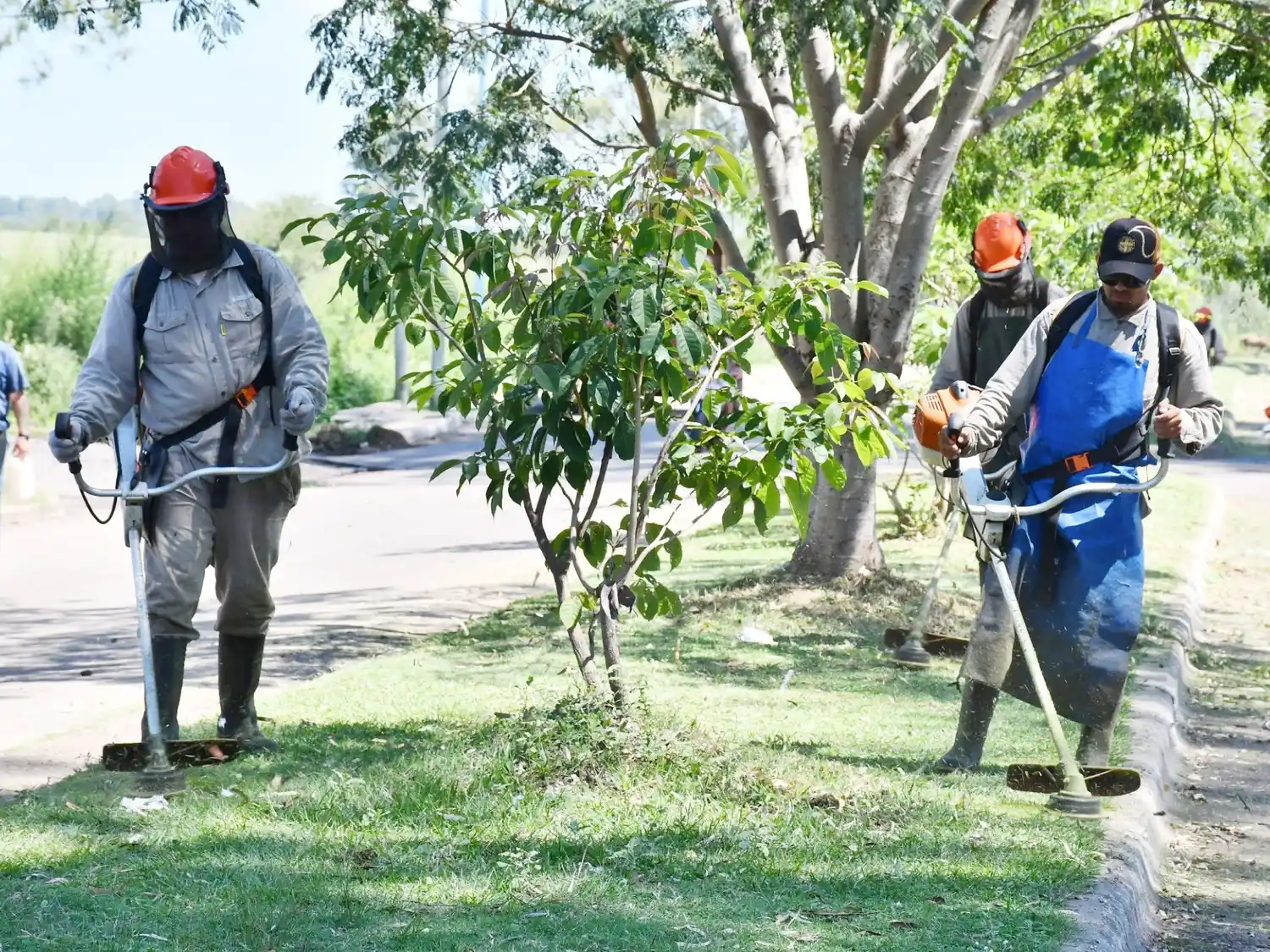Azcué: “Si todos colaboramos podemos tener una ciudad más limpia y ordenada”