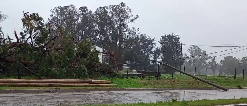 Temporal: actis 2300