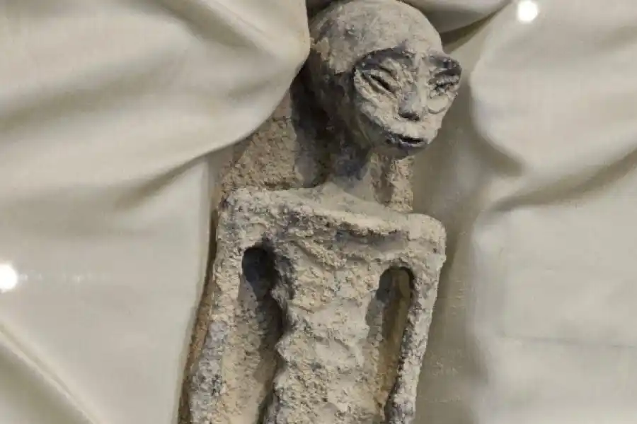 Presentaron  "Restos no humanos" en la cámara de diputados de Mexico