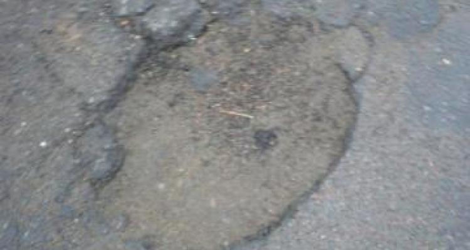 Homenaje al bache