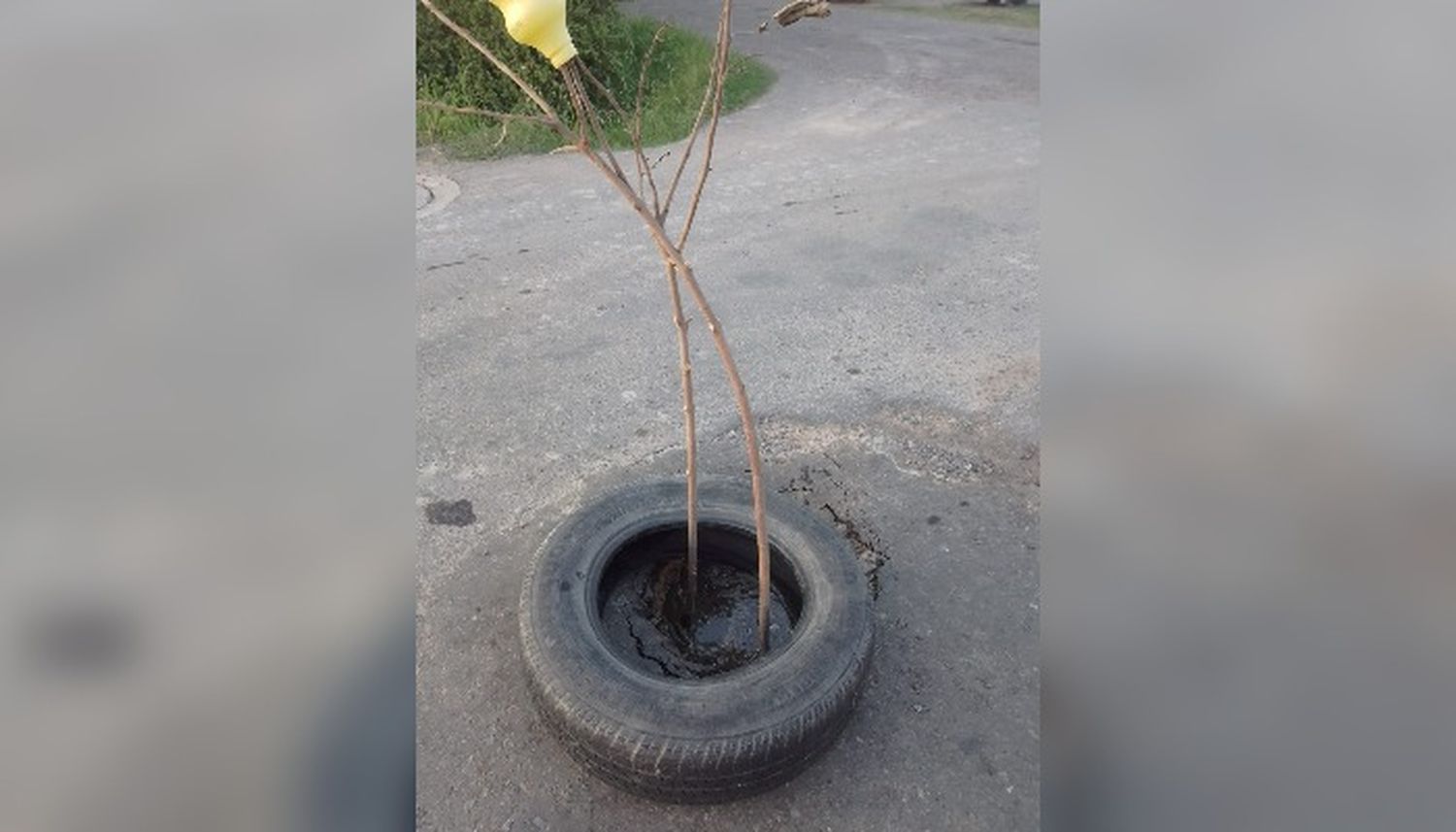 "Peligro de derrumbe"