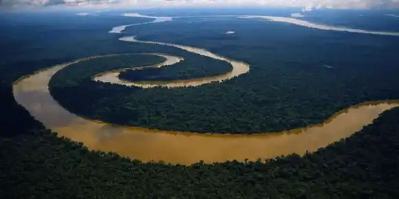 Por el cambio climático: Venezuela perdió 28% de sus bosques en la Amazonia desde 2016