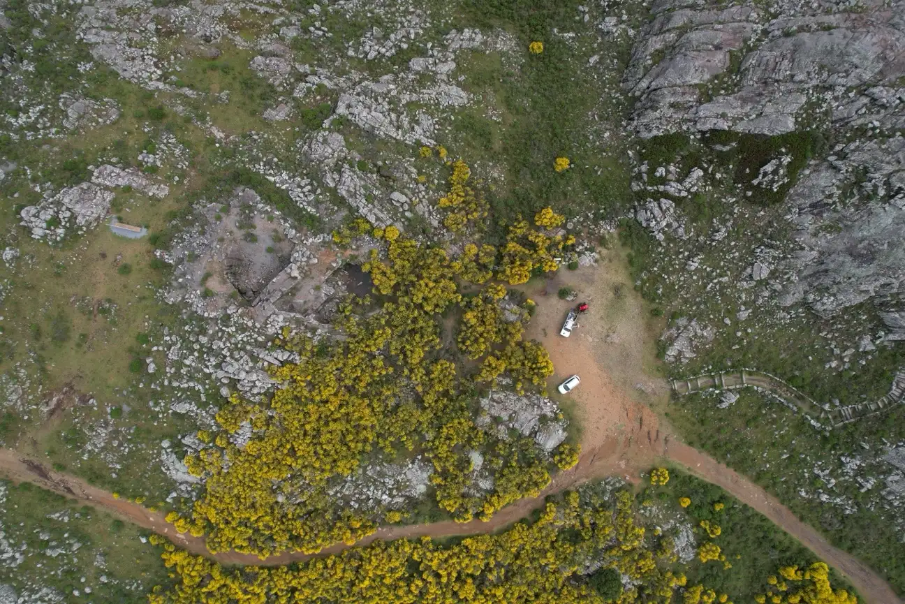 Desde la organización señalaron que la remoción de especies exóticas invasoras constituye una acción importante para recuperar las condiciones naturales del ambiente serrano.