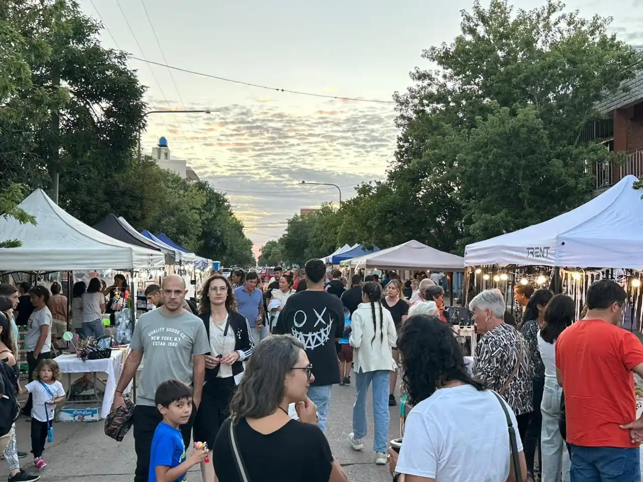 Tramo de calle Brown entre Belgrano y San Martín. Foto: MVT