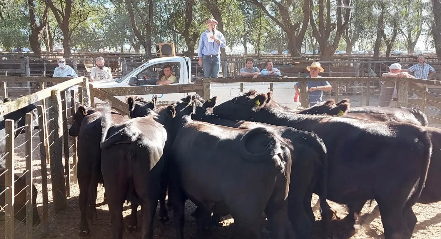 La Agrícola Ganadera puso primera en San Cayetano