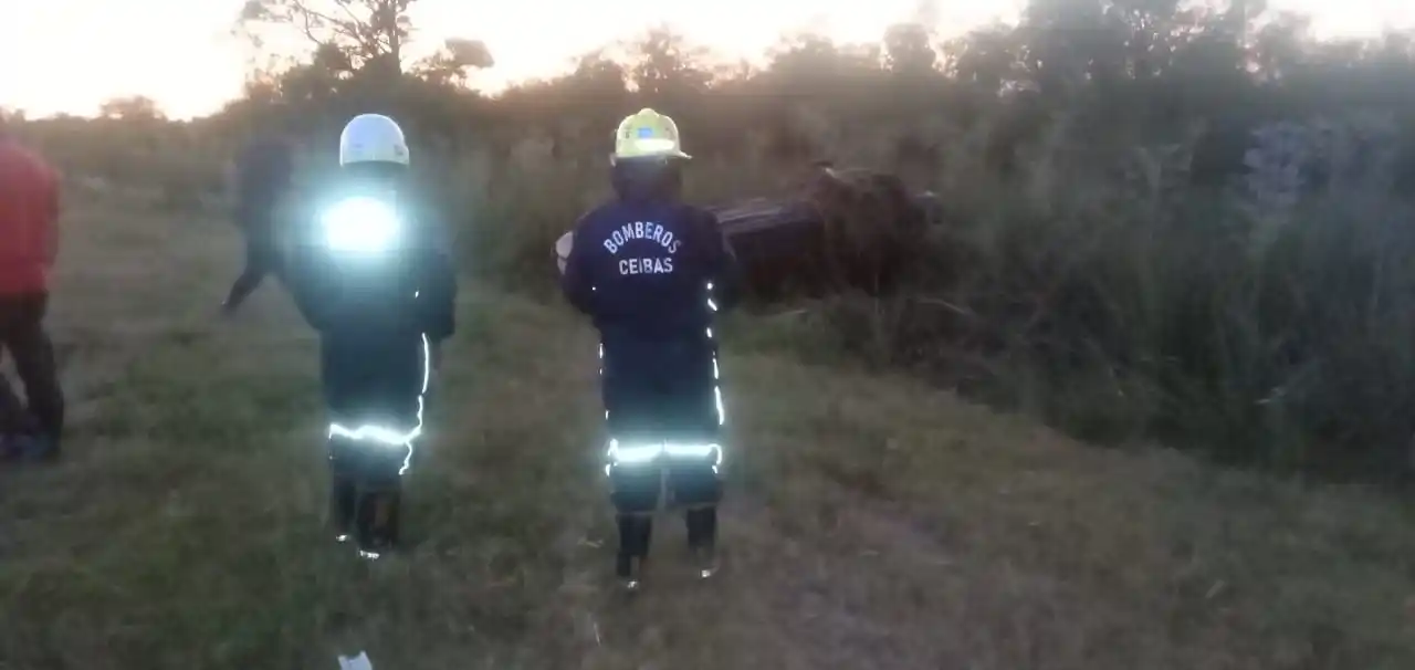 Por esquivar un animal, volcó un auto en la ruta 12: no hubo heridos