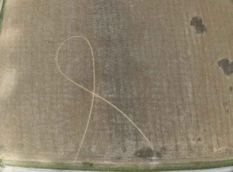 figuras campo extraño raro sospechoso - 1