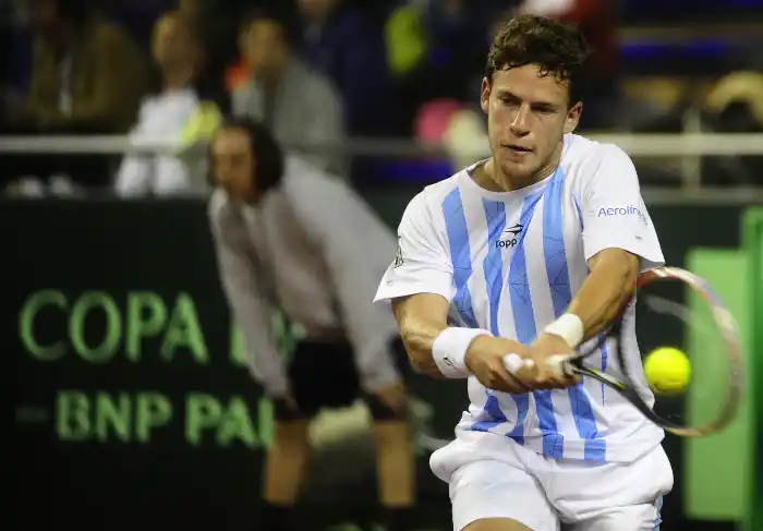 <p>Diego Schwartzman.</p>