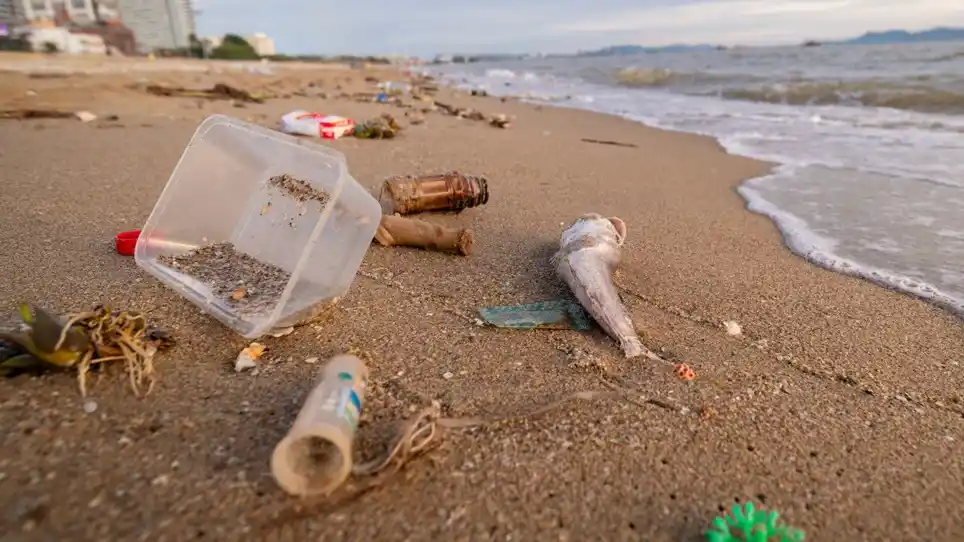 Casi el 80% de los residuos encontrados en las playas bonaerenses son plásticos, según el Censo Provincial de Basura Costera Marina 2025