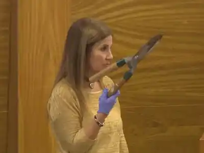 La fiscal Laura Battistelli durante su alegato en el juicio. (Foto: Vía País).