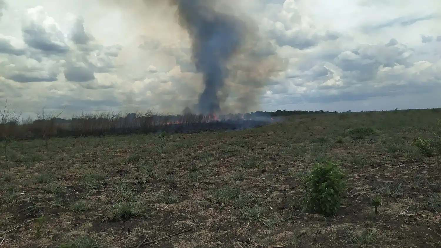 Se trabaja sobre dos focos de incendios detectados frente a Rosario y a la vera de la ruta nacional 174