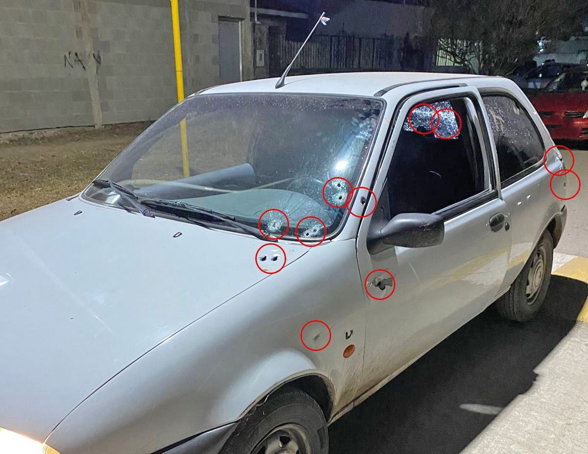 auto Zamir