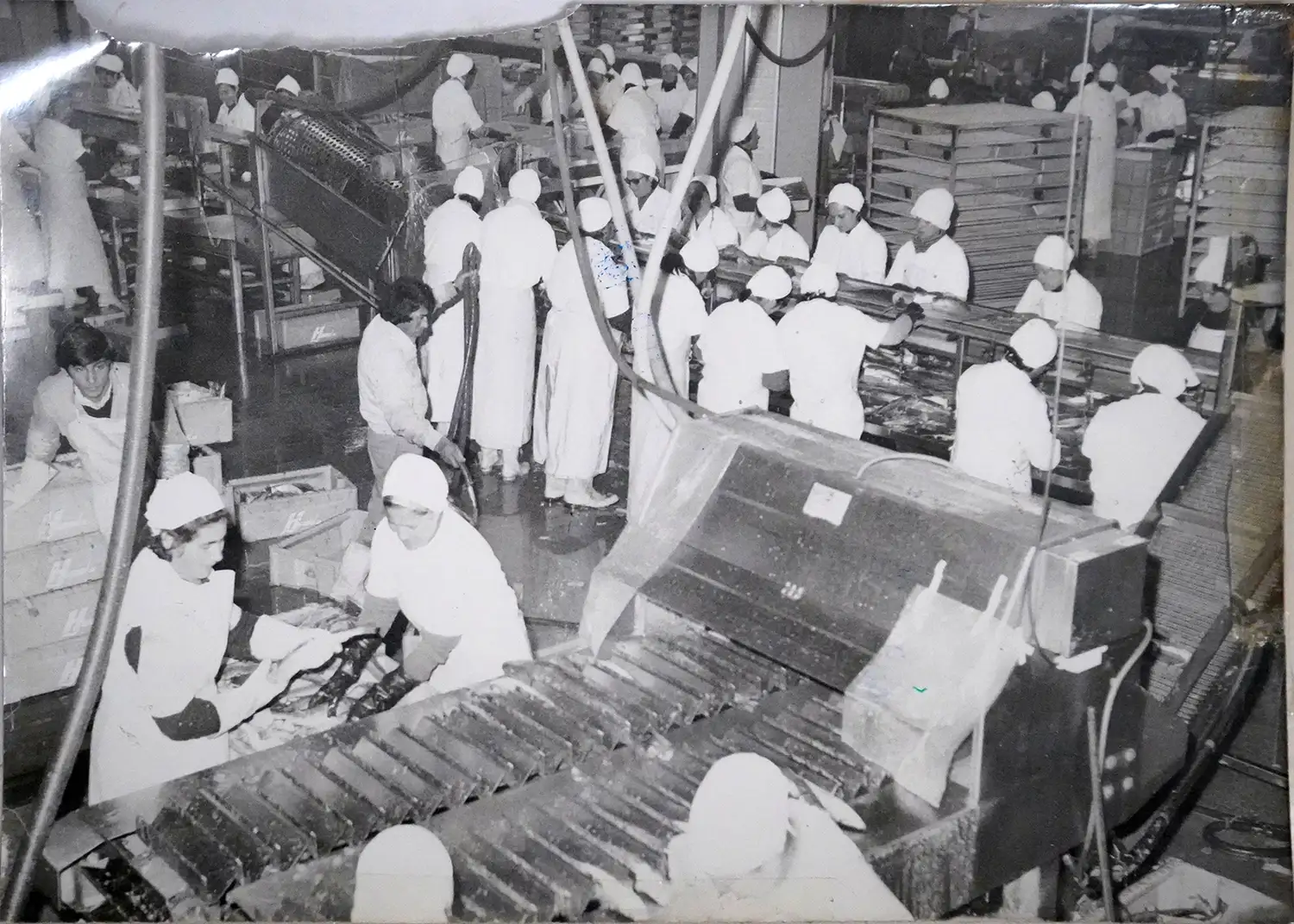 Empresas frigoríficas. En su época de esplendor en los 70
