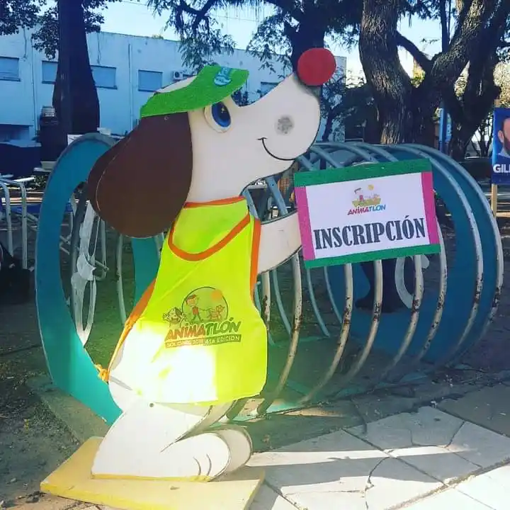 Preparan una nueva edición del tradicional “Animatlón”