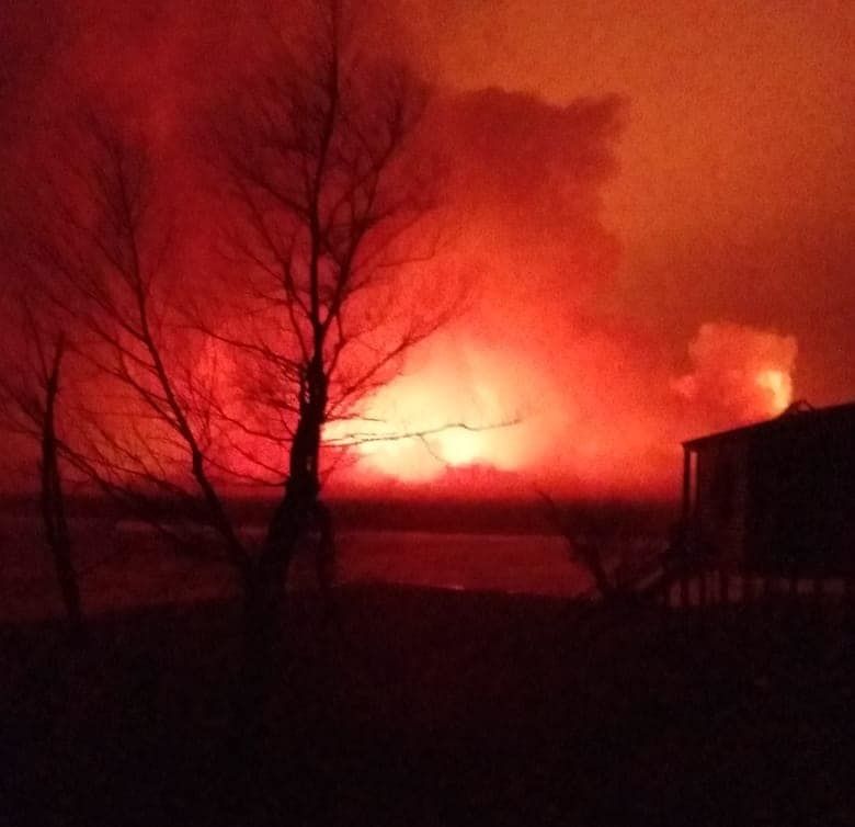 Se prohíbe la cacería en islas: cazadores furtivos habrían iniciaron los incendios en Las Lechiguanas