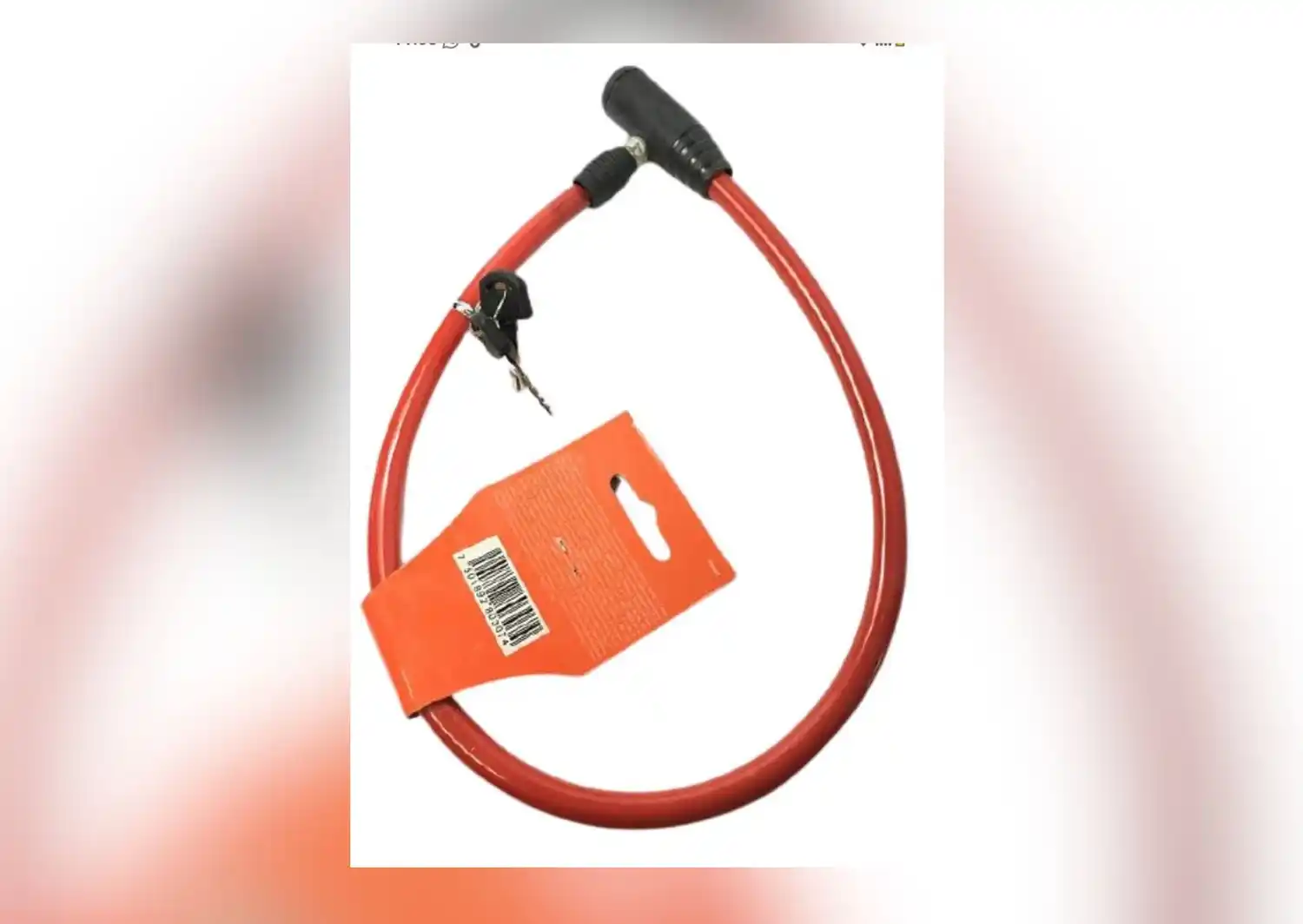 Candado extraviado en Lucio Mansilla