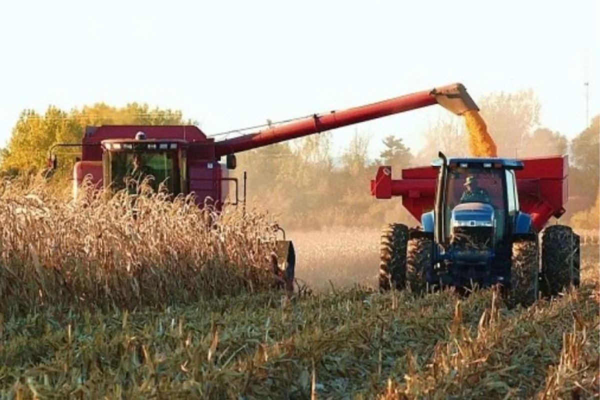 el sector agropecuario no ha quedado exento de los efectos negativos de la escalada de la divisa, manifestándose en un impacto directo en los precios y en la disponibilidad de elementos cruciales para la producción agrícola.