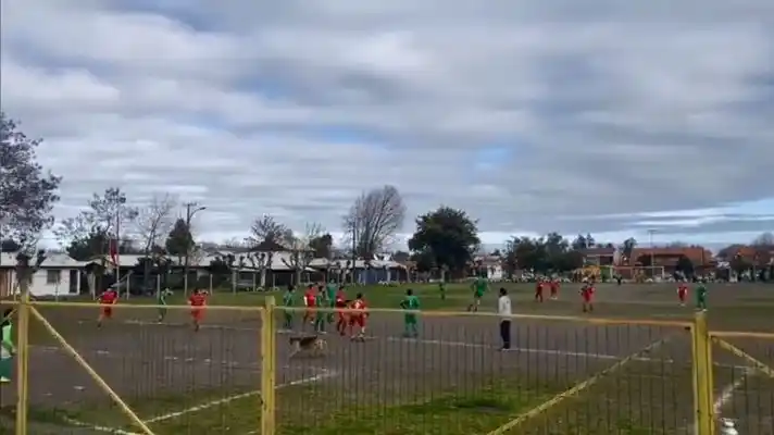 EL GOLAZO que necesitaba un equipo de fútbol lo logró un perro a quien llaman Firulais (+ Video)