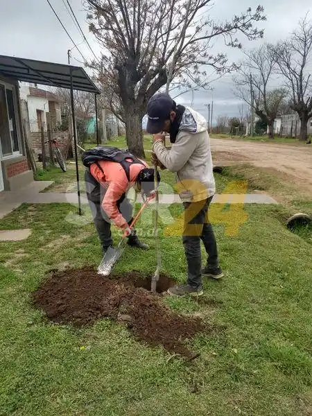 María Teresa avanza con la colocación de árboles en las veredas