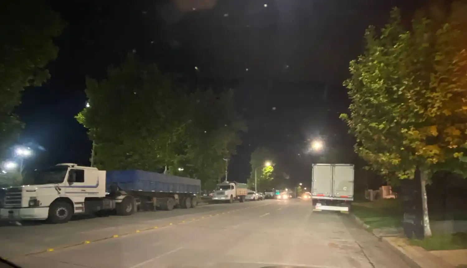 Camiones estacionados en Avenida Buzón entre Constitución y 25 de Mayo.