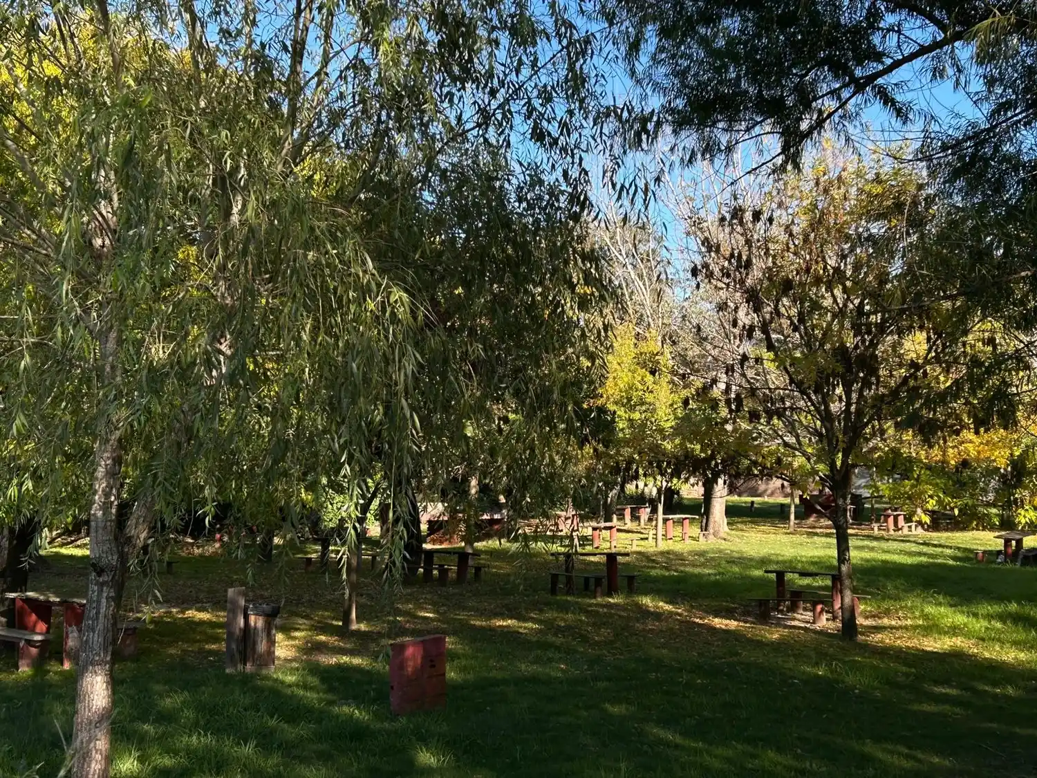 predio camping américa denuncian usurpación del terreno
