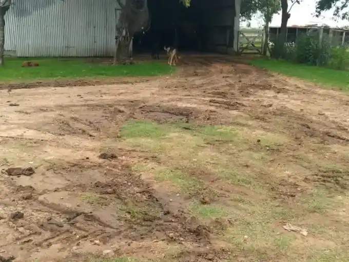 Accidente en zona rural de Urdinarrain: un niño lucha por su vida tras ser atropellado por un tractor