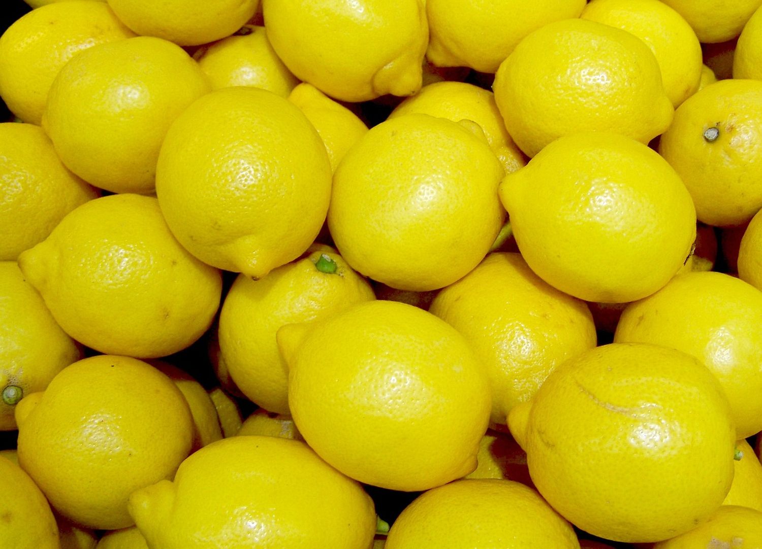 Suspenden las exportaciones de limones tucumanos con destino a Europa