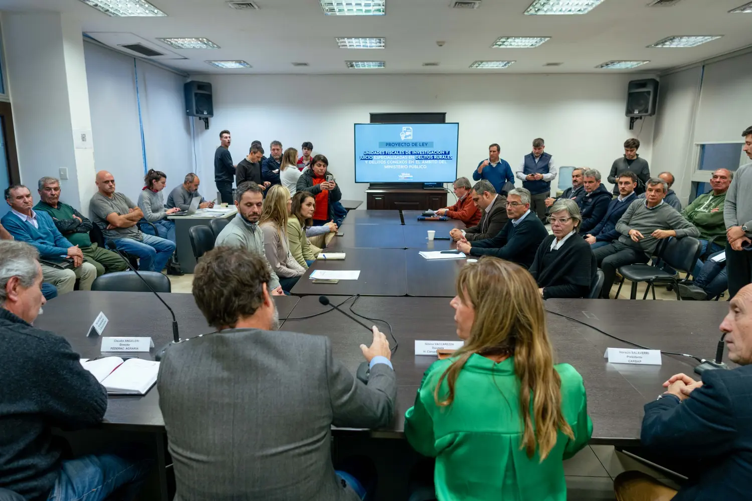 Presentación del proyecto
