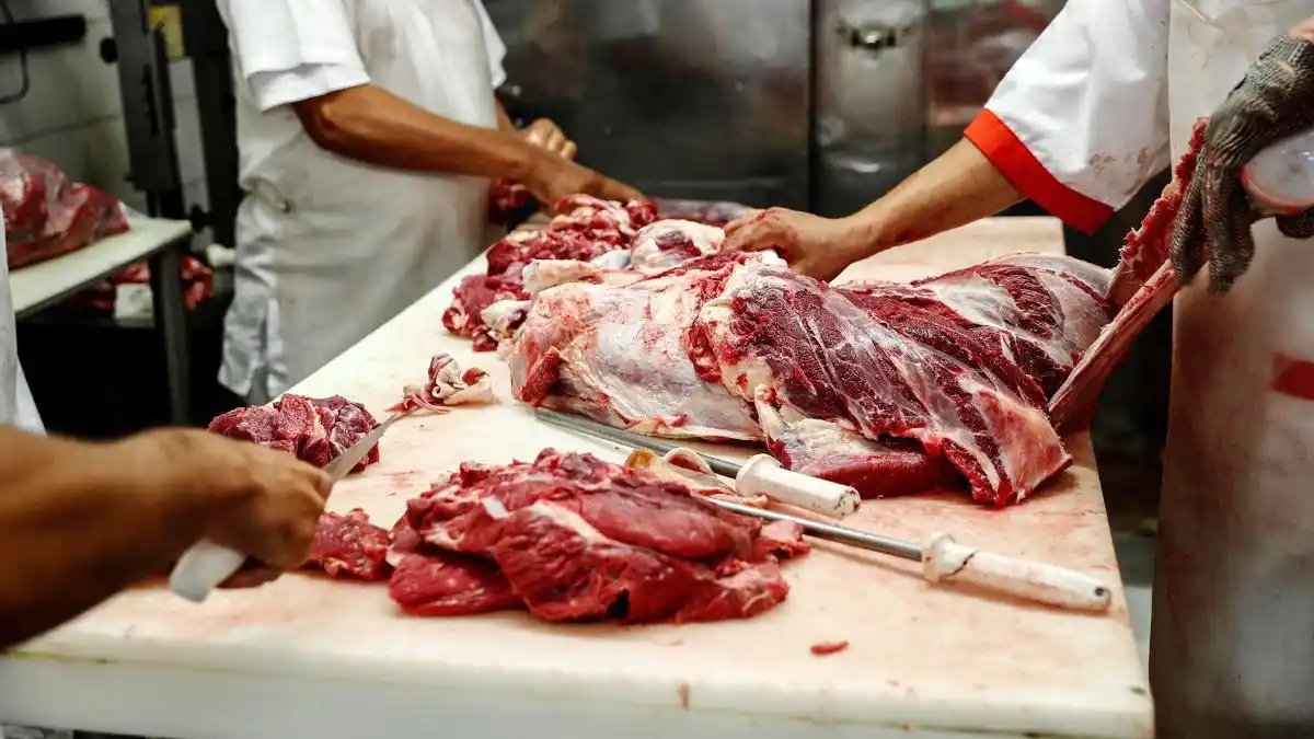 De enero a mayo la faena subió   y llegó a 6 millones de vacunos