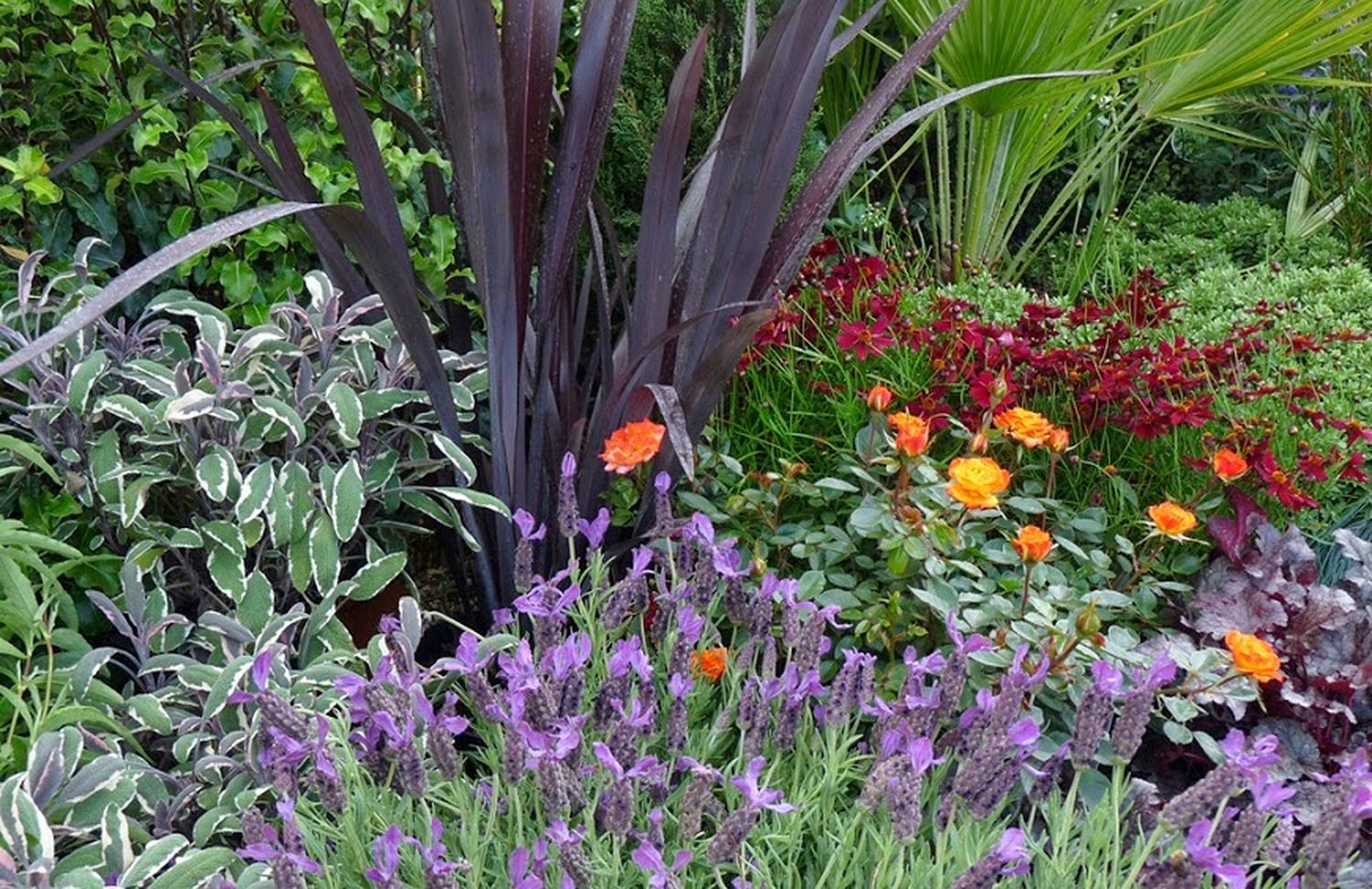 Usar plantas repelentes en el jardín