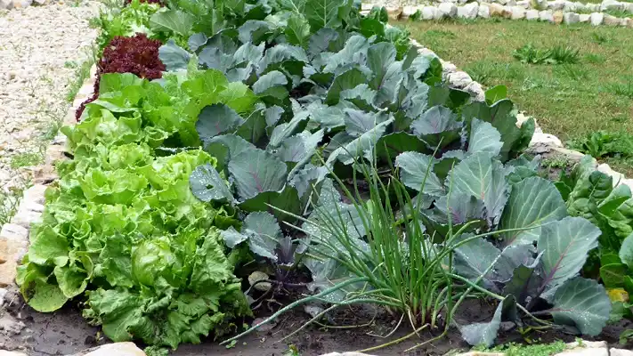 Dictarán talleres gratuitos con el lema: ¡Yo cuido el ambiente desde casa!