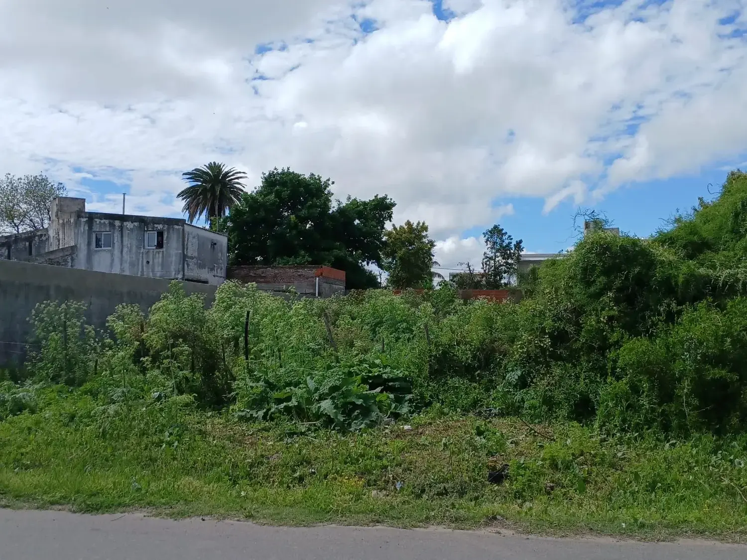 Los lotes están ubicados en inmediaciones del CPA, por Sargento Selada.