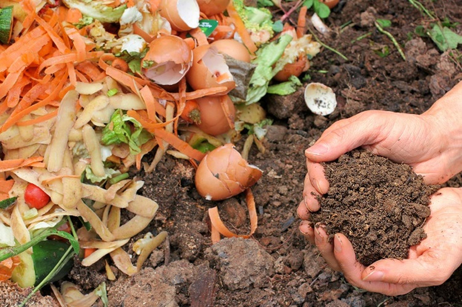 Formarán una cooperativa para elaborar compost en Gualeguaychú