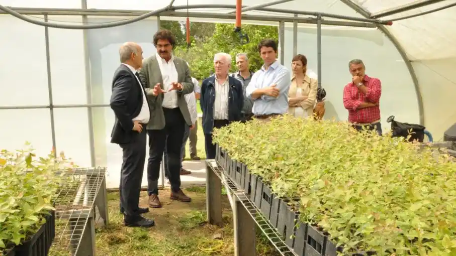 Buscan duplicar la superficie forestada en el territorio bonaerense