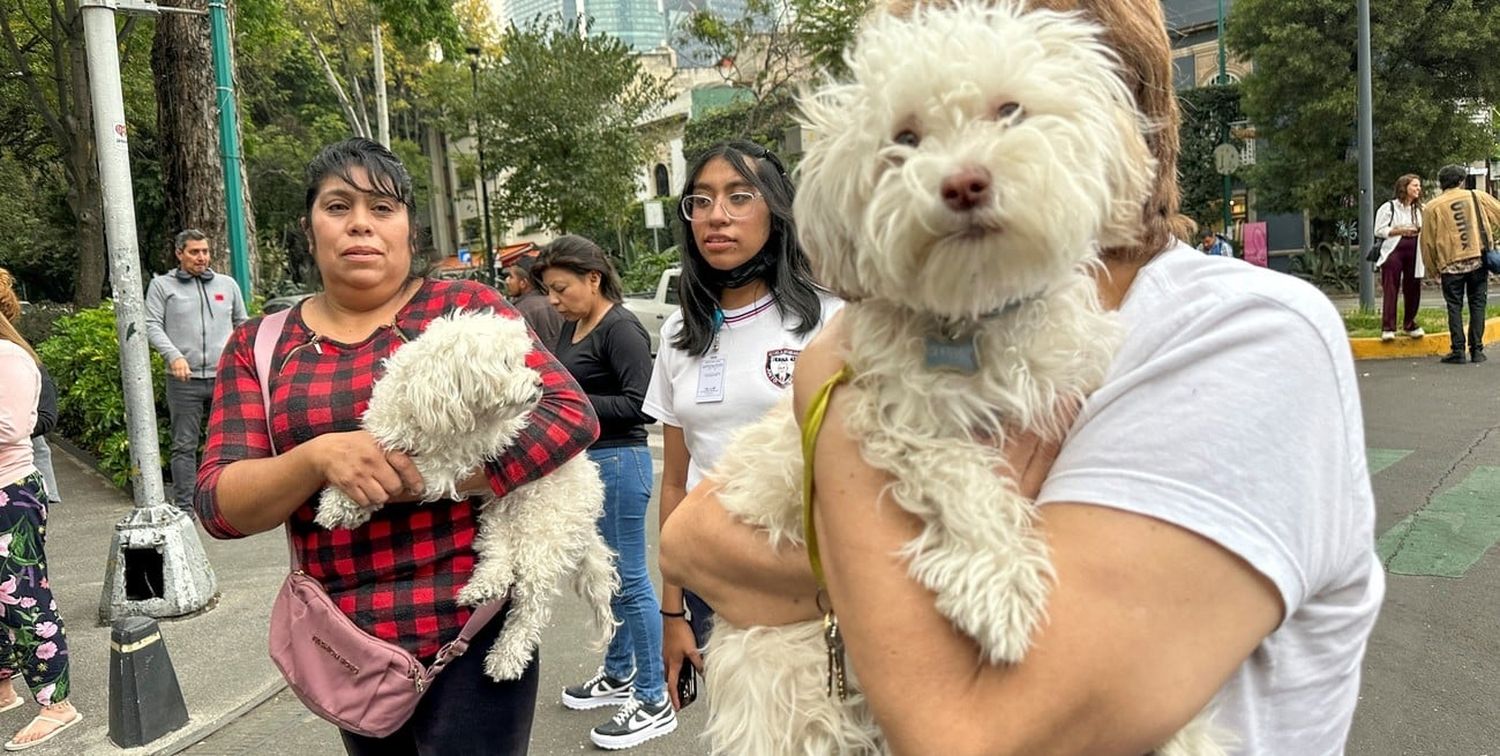 La gente salió a la calle tras el terremoto, en Ciudad de México, México, este 7 de diciembre. Foto: Reuters