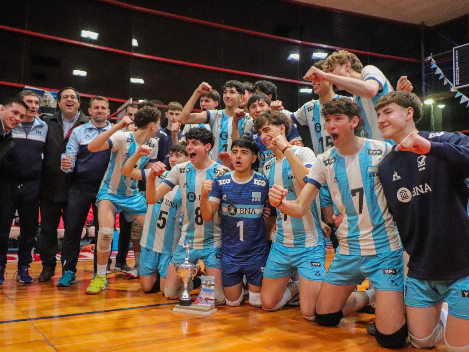 Selección argentina masculina Sub-17 de vóleibol.