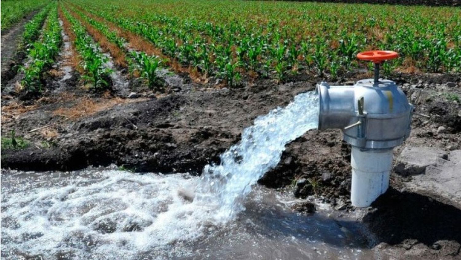 Las aguas subterráneas, un tesoro escondido